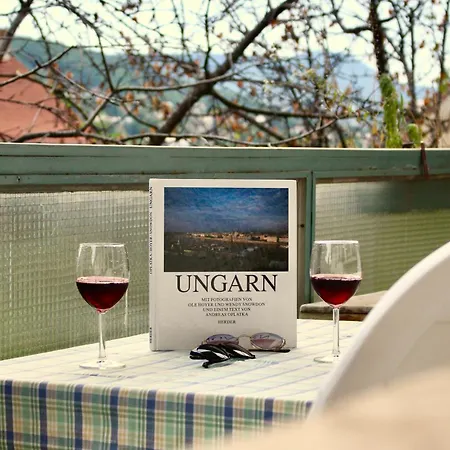 Castle Stallion * בודפשט