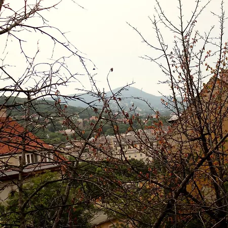 Castle Stallion דירה *